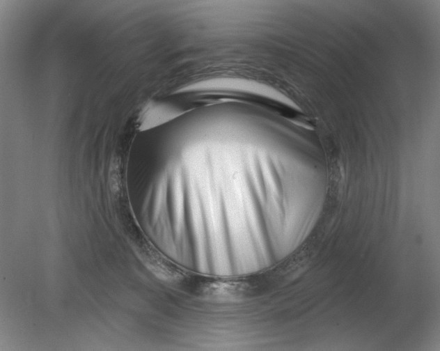 X0000080740323200701051151