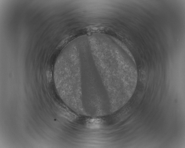 X0000080740324200701051151