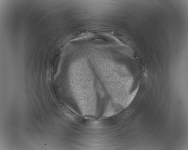 X0000080740325200701051151