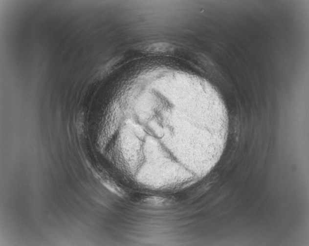 X0000080740326200701051151