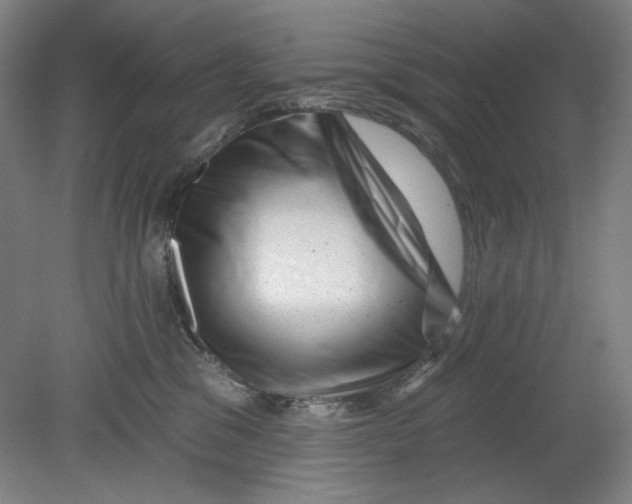 X0000080740329200701051151