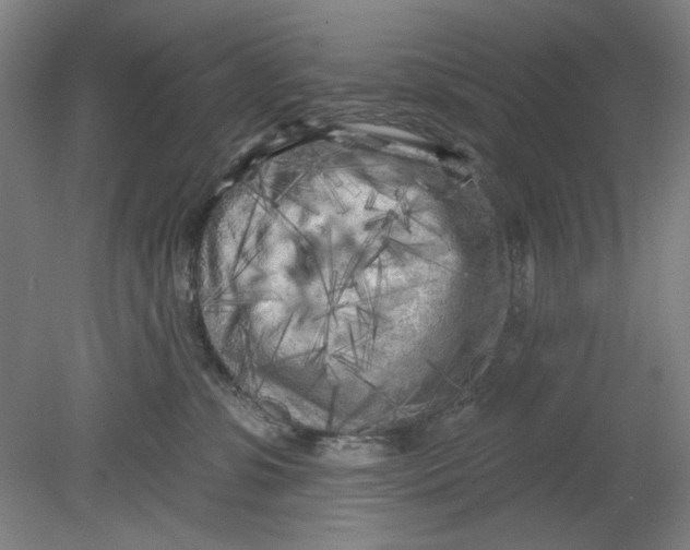 X0000080740331200701051151