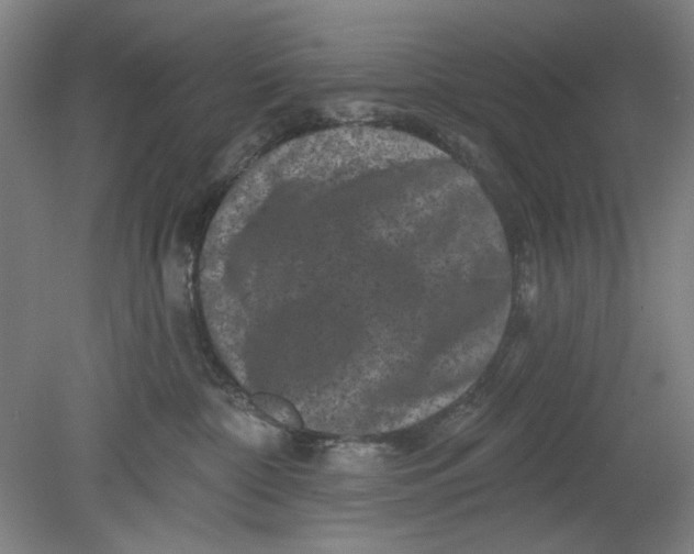 X0000080740332200701051151