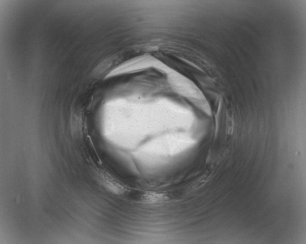 X0000080740333200701051151