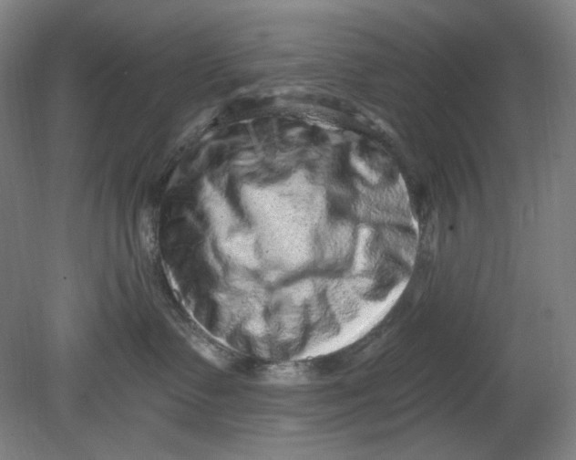 X0000080740335200701051151