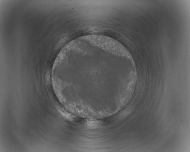 X0000080740336200701051151