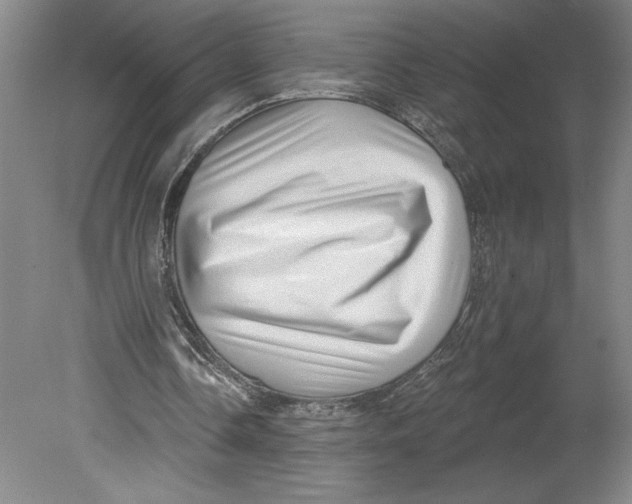 X0000080740338200701051150