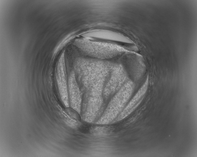 X0000080740341200701051150