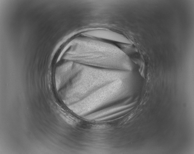 X0000080740342200701051150