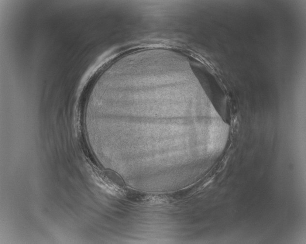 X0000080740343200701051150