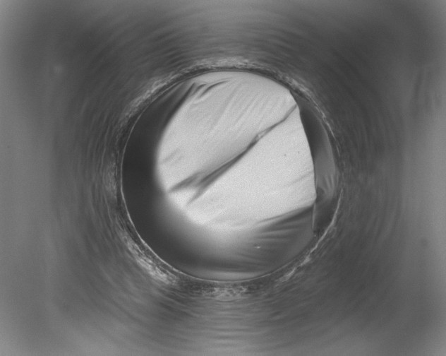 X0000080740345200701051150