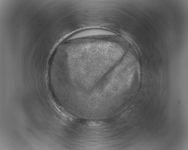 X0000080740346200701051150