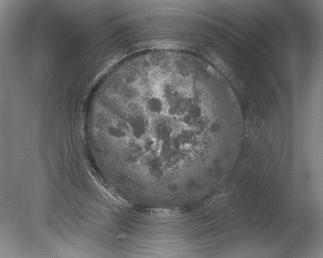 X0000080740347200701051150