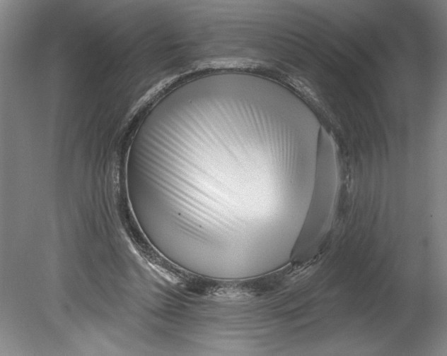 X0000080740348200701051150