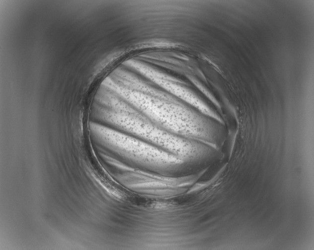 X0000080740350200701051150