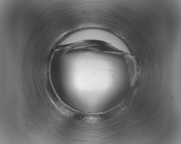 X0000080740352200701051150