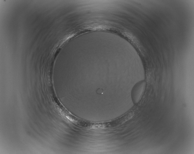 X0000080740353200701051150