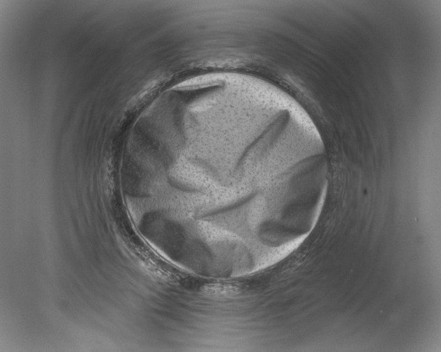 X0000080740354200701051150