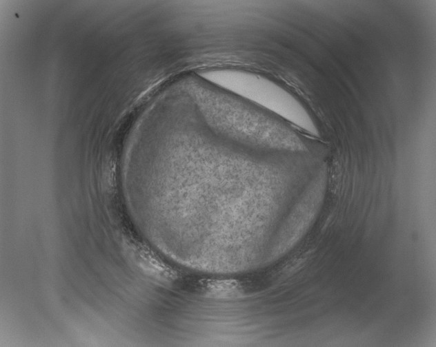 X0000080740355200701051150