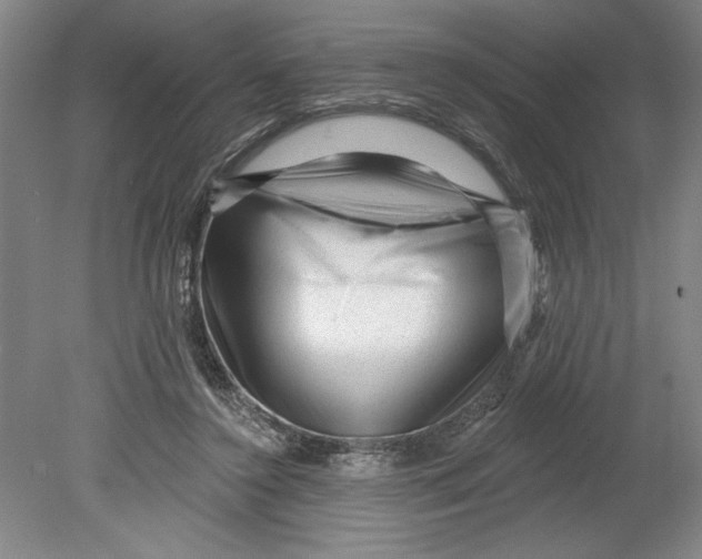 X0000080740356200701051150