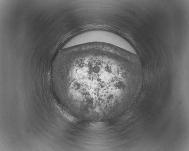 X0000080740357200701051150