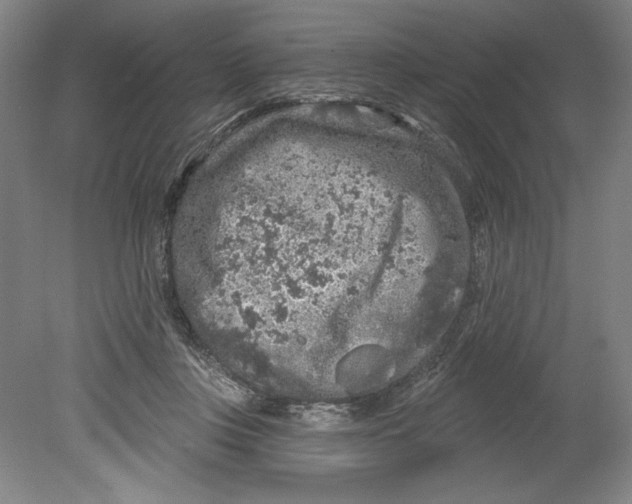 X0000080740359200701051150