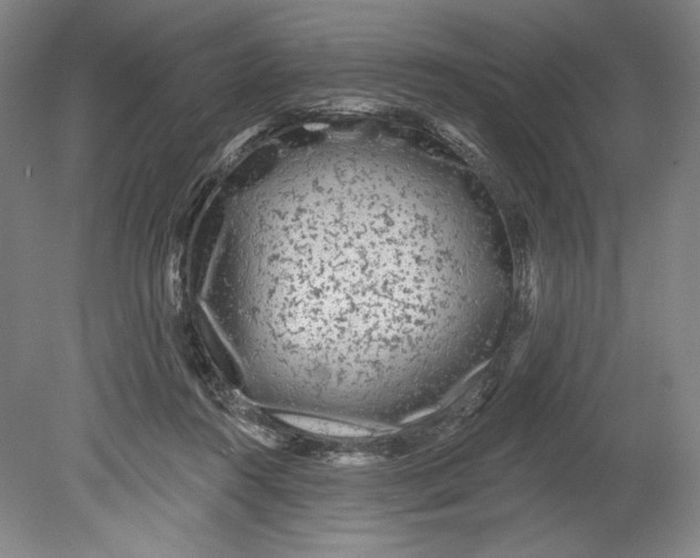 X0000080740360200701051150