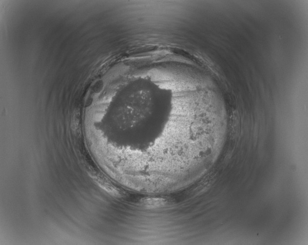 X0000080740361200701051150