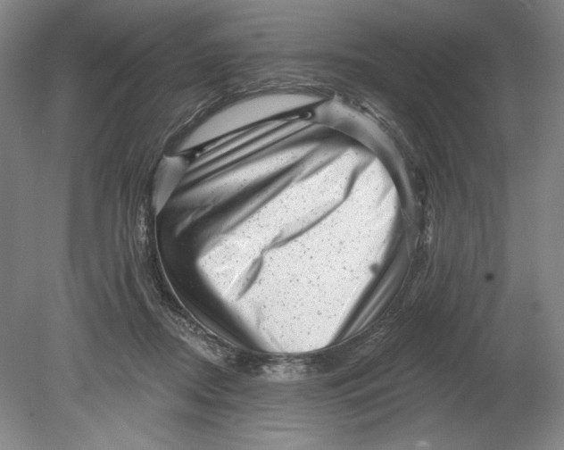 X0000080740362200701051150