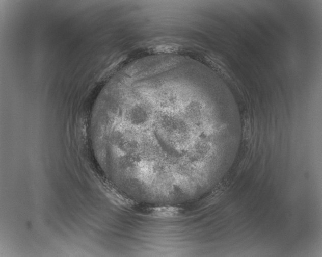 X0000080740363200701051150