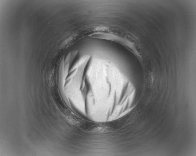 X0000080740364200701051150