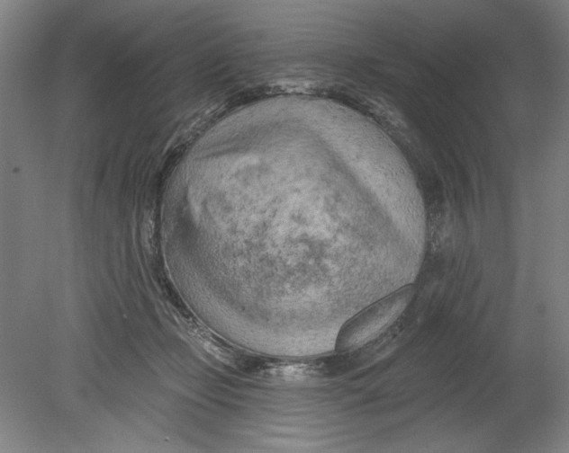 X0000080740365200701051150