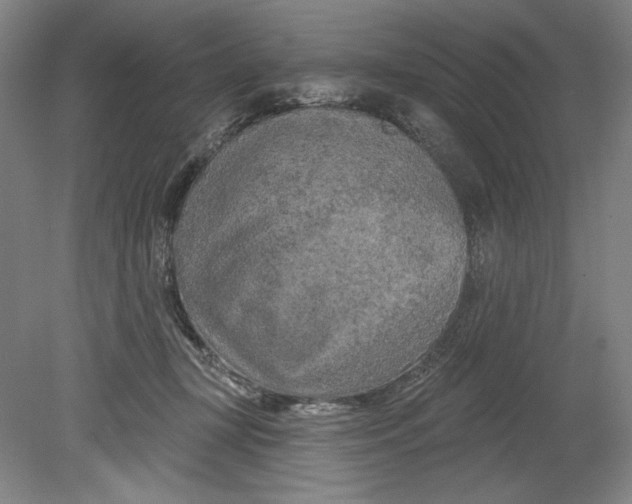 X0000080740367200701051151