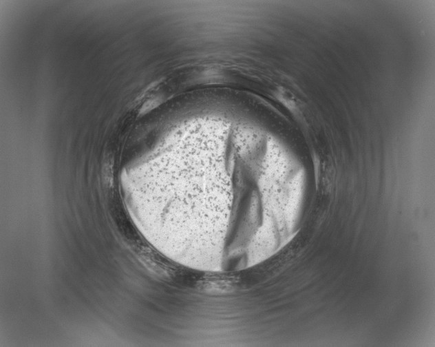 X0000080740368200701051151