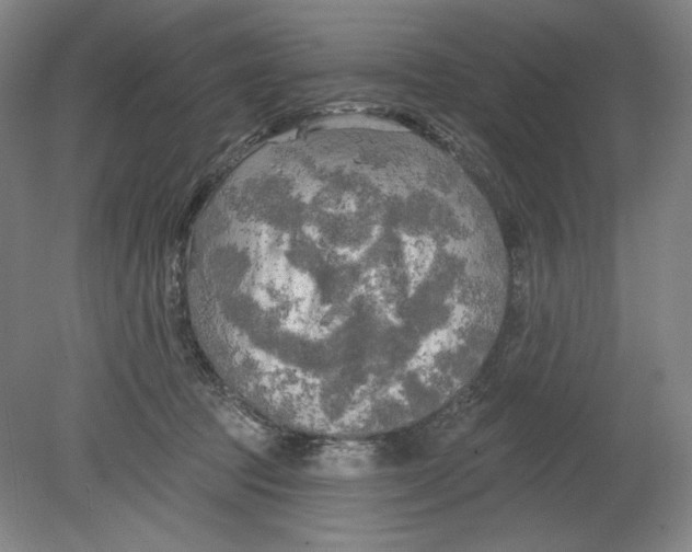 X0000080740369200701051151