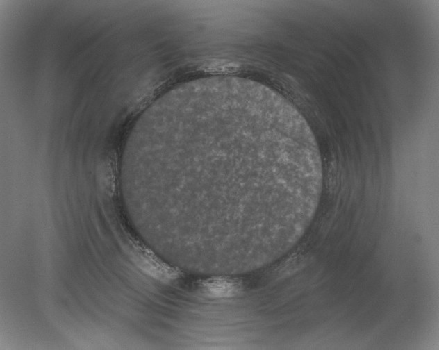 X0000080740370200701051151