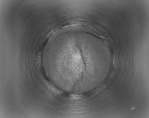 X0000080740372200701051151