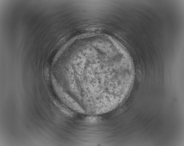 X0000080740375200701051151