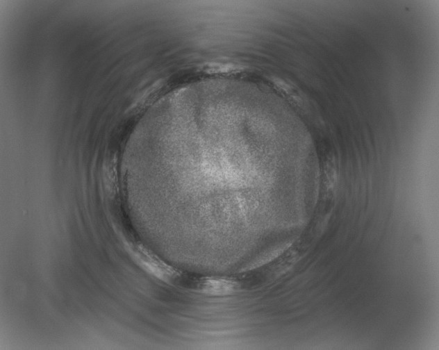 X0000080740376200701051151