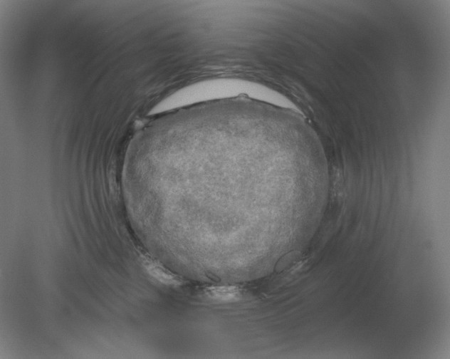 X0000080740377200701051151