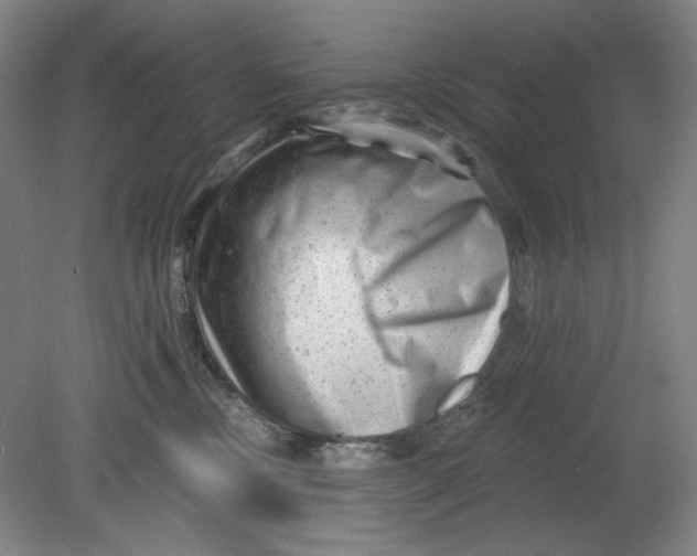 X0000080740378200701051151