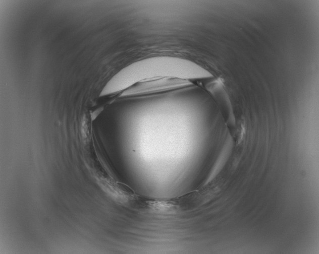 X0000080740380200701051151