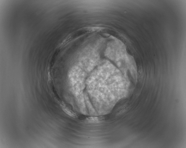 X0000080740381200701051151