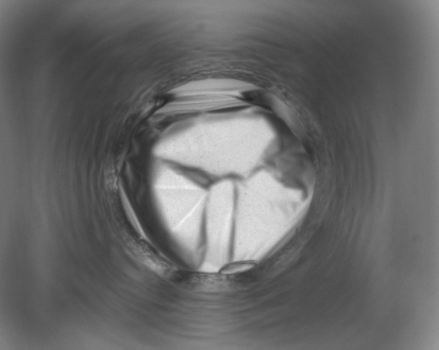 X0000080740384200701051151