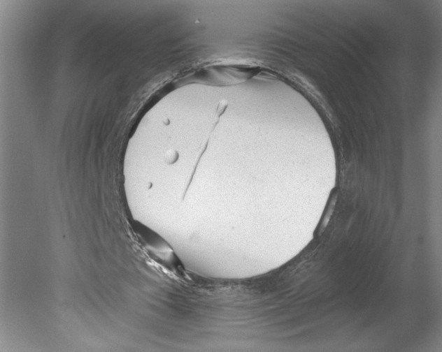 X0000080740385200701051150