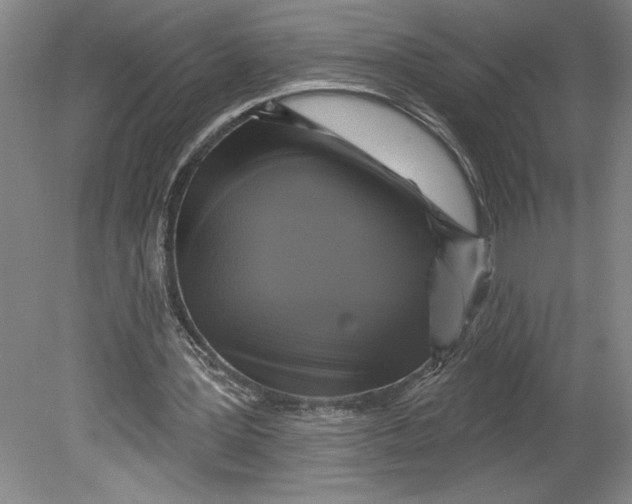 X0000080740387200701051150