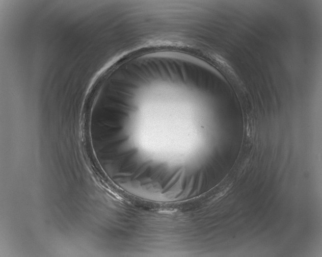 X0000080740388200701051150