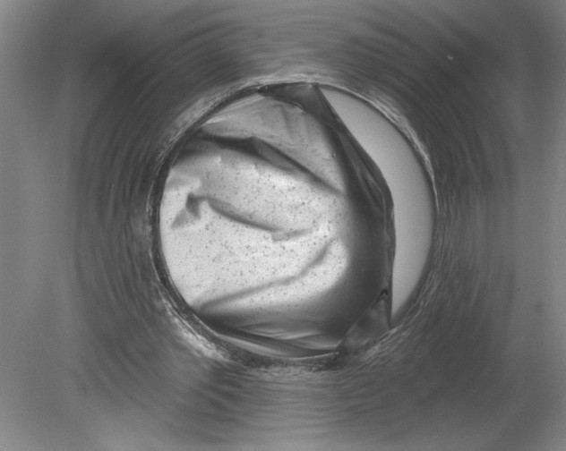 X0000080740389200701051150