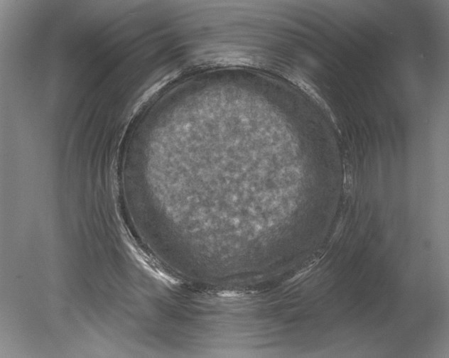 X0000080740390200701051150