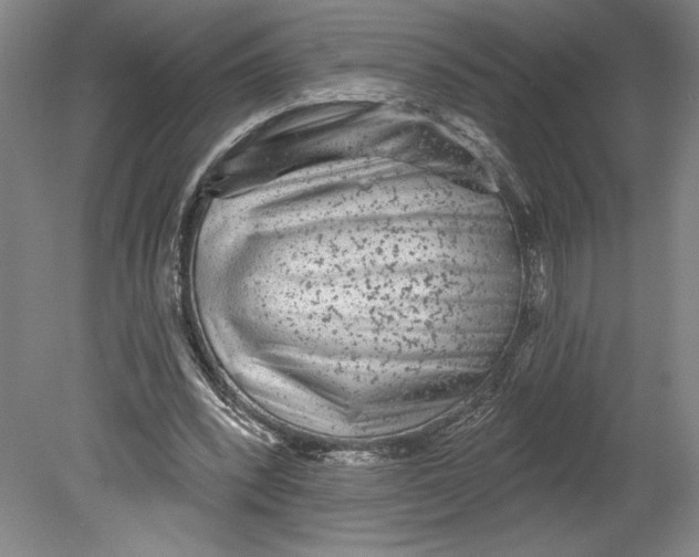 X0000080740392200701051150